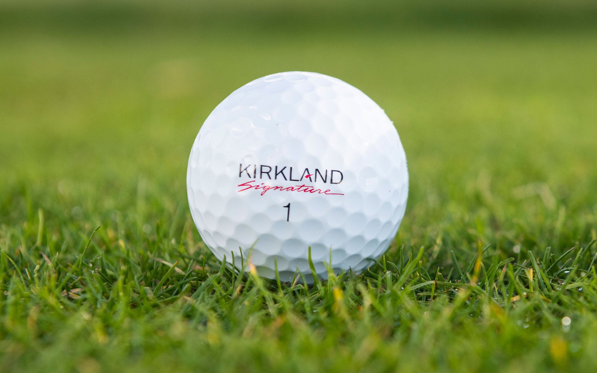 Kirkland Signature Ball